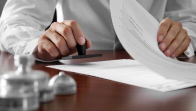 İdari Vesayet Yetkisinin Özellikleri