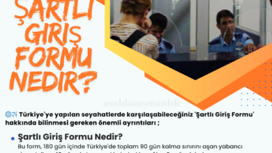 Şartlı Giriş Formu Nedir?