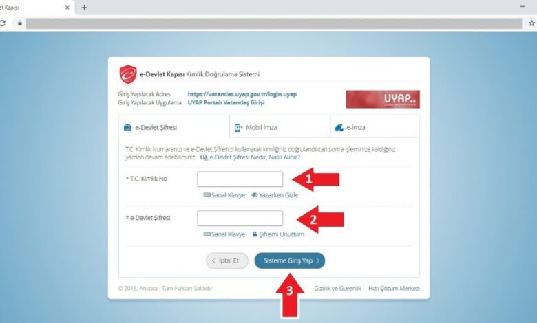 E-Devlet’te Hangi Dosyalar Görünmez?